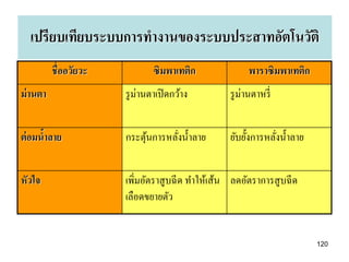 เปรียบเทียบระบบการทางานของระบบประสาทอัตโนวัติ
          ชื่ออวัยวะ           ซิมพาเทติก               พาราซิมพาเทติก
ม่ านตา                รู ม่านตาเปิ ดกว้าง         รู ม่านตาหรี่


ต่ อมนาลาย
      ้                กระตุนการหลังน้ าลาย
                            ้      ่               ยับยั้งการหลังน้ าลาย
                                                                ่


หัวใจ                  เพิ่มอัตราสู บฉี ด ทาให้เส้น ลดอัตราการสูบฉี ด
                       เลือดขยายตัว


                                                                           120
 