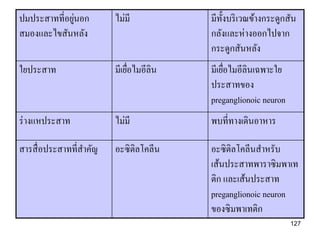 ่
ปมประสาทที่อยูนอก        ไม่มี           มีท้ งบริ เวณข้างกระดูกสัน
                                              ั
สมองและไขสันหลัง                         กลังและห่างออกไปจาก
                                         กระดูกสันหลัง
ใยประสาท                 มีเยือไมอีลิน
                              ่          มีเยือไมอีลินเฉพาะใย
                                              ่
                                         ประสาทของ
                                         preganglionoic neuron
ร่ างแหประสาท            ไม่มี           พบที่ทางเดินอาหาร

สารสื่ อประสาทที่สาคัญ   อะซิ ติลโคลีน   อะซิ ติลโคลีนสาหรับ
                                         เส้นประสาทพาราซิ มพาเท
                                         ติก และเส้นประสาท
                                         preganglionoic neuron
                                         ของซิ มพาเทติก
                                                                 127
 
