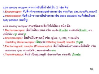 แบ่ ง sensory receptor ตามการรั บสิ่งเร้ าได้ เป็ น 2 กลุ่ม คือ
1.Exteroreceptor: รั บสิ่งเร้ าจากภายนอกร่ างกาย เช่ น ความร้ อน, แสง, ความดัน, สารเคมี
2.Interoreceptor: รั บสิ่งเร้ าจากภายในร่ างกาย เช่ น blood pressure(พบที่ เส้ นเลือด) ,
body position (พบที่ห)   ู
แบ่ ง sensory receptor ตามชนิดของสิ่งเร้ าได้ เป็ น 5 ชนิด คือ
1.Mechanoreceptor: สิ่งเร้ าเป็ นแรงกล เช่ น แรงดัน (ผิวหนัง), การสัมผัส(ผิวหนัง), การ
เคลื่อนไหว(หู), เสียง(หู)
2.Chemoreceptor: สิ่งเร้ าเป็ นสารเคมี เช่ น กลูโคส, O2, CO2, กรดอะมิโน
 -Gustatory (taste) receptor (ลิน)และ Olfactory (smell) receptor (จมูก)
                                 ้
3.Electromegnetic receptor (Photoreceptor): สิ่งเร้ าเป็ นพลังงานแม่ เหล็กไฟฟา เช่ น
                                                                             ้
 แสง (visible light), กระแสไฟฟา, สนามแม่ เหล็ก (ตา)
                              ้
4.Thermoreceptor: สิ่งเร้ าเป็ นอุณหภูมิ เช่ นความร้ อน, ความเย็น (ผิวหนัง)


                                                                                   130
 