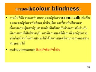 การบอดสี (colour blindness)
• การเห็นสี เกิดจากการทางานของเซลล์รูปกรวย(cone cell) แบ่งเป็ น
  3 พวกเซลล์รูปกรวยรับสี แดง,น้ าเงิน,เขียว การที่เราเห็นสี มากมาย
  เนื่องจากกระตุนเซลล์รูปกรวยแต่ละสี พร้อมๆกันด้วยความเข้มต่างกัน
                 ้
  เกิดการผสมสี เป็ นสี ต่างๆกัน การเกิดการบอดสี คือการที่เซลล์รูปกรวย
  ชนิดใดชนิดหนึ่งพิการทางานไม่ได้โดยการบอดสี สามารถถ่ายทอดทาง
  พันธุกรรมได้
• คนส่ วนมากพบตาบอด สี แดง>เขียว>น้ าเงิน


                                                                  142
 