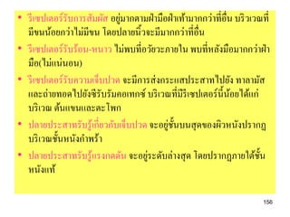 ่
• รี เซปเตอร์รับการสัมผัส อยูมากตามฝ่ ามือฝ่ าเท้ามากกว่าที่อื่น บริ วเวณที่
  มีขนน้อยกว่าไม่มีขน โดยปลายนิ้วจะมีมากกว่าที่อื่น
• รี เซปเตอร์รับร้อน-หนาว ไม่พบที่อวัยวะภายใน พบที่หลังมือมากกว่าฝ่ า
  มือ(ไม่แน่นอน)
• รี เซปเตอร์รับความเจ็บปวด จะมีการส่ งกระแสประสาทไปยัง ทาลามัส
  และถ่ายทอดไปยังซีรับรัมคอเทกซ์ บริ เวณที่มีรีเซปเตอร์น้ ีนอยได้แก่
                                                                ้
  บริ เวณ ต้นแขนและตะโพก
• ปลายประสาทรับรู ้เกี่ยวกับเจ็บปวด จะอยูช้ นบนสุ ดของผิวหนังปรากฏ
                                          ่ ั
  บริ เวณชั้นหนังกาพร้า
                                   ่
• ปลายประสาทรับรู ้แรงกดดัน จะอยูระดับล่างสุ ด โดยปรากฏภายใต้ช้ น        ั
  หนังแท้

                                                                         156
 