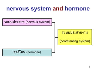 nervous system and hormone

ระบบประสาท (nervous system)

                               ระบบประสานงาน
                              (coordinating system)

     ฮอร์ โมน (hormone)


                                                  3
 