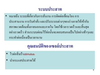 ระบบประสาท
• หมายถึง ระบบที่เกี่ยวกับการสังงาน การติดต่อเชื่อมโยง การ
                               ่
  ประสานงาน การรับคาสัง และปรับระบบต่างๆของร่ างกายให้เข้ากับ
                          ่
  สภาพแวดล้อมทั้งภายนอกและภายใน โดยใช้เวลารวดเร็ วและสิ้ นสุ ด
  อย่างรวดเร็ ว ส่ วนระบบต่อมไร้ท่อนั้นจะตอบสนองเป็ นไปอย่างช้าๆและ
  กระทาต่อเนื่องเป็ นเวลานาน

                  คุณสมบัตของเซลล์ ประสาท
                          ิ
• ไวต่อสิ่ งเร้า(stimulus)
• นากระแสประสาทได้

                                                                  4
 
