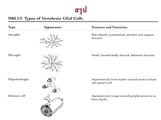 สรุป




       43
 