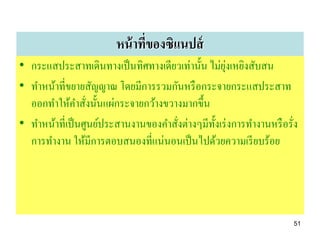 หน้ าทีของซิแนปส์
                               ่
                                                   ุ่
• กระแสประสาทเดินทางเป็ นทิศทางเดียวเท่านั้น ไม่ยงเหยิงสับสน
• ทาหน้าที่ขยายสัญญาณ โดยมีการรวมกันหรื อกระจายกระแสประสาท
  ออกทาให้คาสังนั้นแผ่กระจายกว้างขวางมากขึ้น
                 ่
• ทาหน้าที่เป็ นศูนย์ประสานงานของคาสังต่างๆมีท้ งเร่ งการทางานหรื อรั่ง
                                     ่          ั
  การทางาน ให้มีการตอบสนองที่แน่นอนเป็ นไปด้วยความเรี ยบร้อย




                                                                      51
 