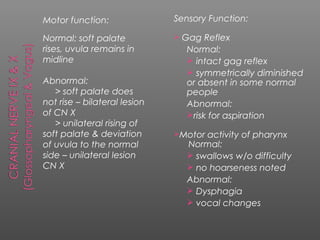 Motor function:               Sensory Function:

Normal: soft palate              Gag Reflex
rises, uvula remains in            Normal:
midline                             intact gag reflex
                                    symmetrically diminished
Abnormal:                          or absent in some normal
   > soft palate does              people
not rise – bilateral lesion        Abnormal:
of CN X                            risk for aspiration
   > unilateral rising of
soft palate & deviation       Motor   activity of pharynx
of uvula to the normal             Normal:
side – unilateral lesion            swallows w/o difficulty
CN X                                no hoarseness noted
                                   Abnormal:
                                    Dysphagia
                                    vocal changes
 