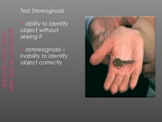 Test Stereognosis

 ability to identify
object without
seeing it

 astereognosis –
inability to identify
object correctly
 