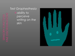 Test Graphesthesia
    ability to
     perceive
     writing on the
     skin
 
