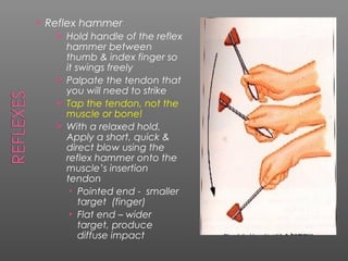    Reflex hammer
      Hold handle of the reflex
       hammer between
       thumb & index finger so
       it swings freely
      Palpate the tendon that
       you will need to strike
      Tap the tendon, not the
       muscle or bone!
      With a relaxed hold,
       Apply a short, quick &
       direct blow using the
       reflex hammer onto the
       muscle’s insertion
       tendon
        • Pointed end - smaller
           target (finger)
        • Flat end – wider
           target, produce
           diffuse impact
 