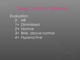 Evaluation
  0 NR
  1+ Diminished
  2+ Normal
  3+ Brisk, above normal
  4+ Hyperactive
 