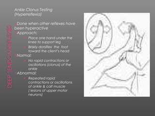 Ankle Clonus Testing
(Hyperreflexia)

Done when other reflexes have
been hyperactive
Approach:
     Place one hand under the
      knee to support leg
     Briskly dorsiflex the foot
      toward the client’s head
Normal:
     No rapid contractions or
        oscillations (clonus) of the
        ankle
Abnormal:
     Repeated rapid
        contractions or oscillations
        of ankle & calf muscle
        ( lesions of upper motor
        neurons)
 