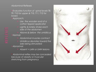 Abdominal Reflexes

Evaluates   function of spinal levels T8,
T9, T10 for upper & T10, T11, T12 for
lower)
Approach:
       Use the wooden end of a
          cotton tipped applicator
       Lightly & briskly stroke each
          side of the abdomen
       Above & below the umbilicus
Normal:
       Abdominal muscles contract
       Umbilicus deviates toward the
          side being stimulated
Abnormal:
       Absent = LMN or UMN lesions

* Abdominal reflex may be concealed
because of obesity or muscular
stretching from pregnancy
 