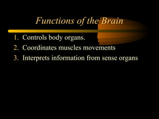 Functions of the Brain
1. Controls body organs.
2. Coordinates muscles movements
3. Interprets information from sense organs
 