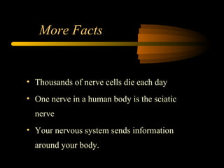 • Thousands of nerve cells die each day
• One nerve in a human body is the sciatic
nerve
• Your nervous system sends information
around your body.
More Facts
 