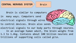 Brain is similar to computers
in many ways. Computers send
electrical signals through wires
to control devices. Brain also sends
electrical signals to our body parts through neurons.
In an average human adult, the brain weighs from
1.3 to 1.4kg. Contains about 100 billion neurons and
trillions of supporting cells called glia.
CENTRAL NERVOUS SYSTEM Brain
 