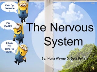 The Nervous
System
By: Nona Wayne D. Dela Peña
I think
I’m
going to
puke!
I’M
SCARED
!
Calm ‘ya
hormone
s
 