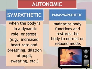 SYMPATHETIC
when the body is
in a dynamic
role or stress.
(e.g., increased
heart rate and
breathing, dilation
of pupil,
sweating, etc.)
PARASYMPATHETIC
maintains body
functions and
restores the
body to normal or
relaxed mode.
AUTONOMIC
 