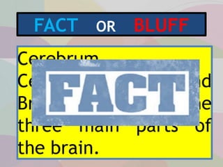FACT OR BLUFF
Cerebrum,
Cerebellum, and
Brainstem are the
three main parts of
the brain.
 