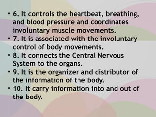 • 6. It controls the heartbeat, breathing,
and blood pressure and coordinates
involuntary muscle movements.
• 7. It is associated with the involuntary
control of body movements.
• 8. It connects the Central Nervous
System to the organs.
• 9. It is the organizer and distributor of
the information of the body.
• 10. It carry information into and out of
the body.
 