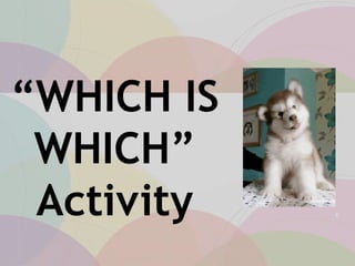 “WHICH IS
WHICH”
Activity
 