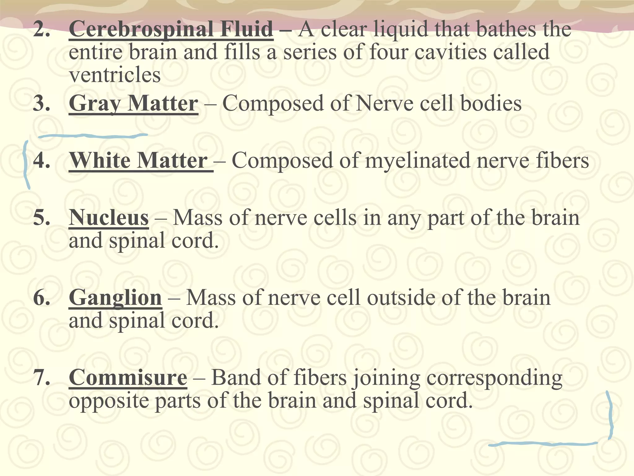 Cerebrospinal Fluid – A clear liquid that bathes the entire brain and fills a series of four cavities called ventricles Gray Matter – Composed of Nerve cell bodiesWhite Matter – Composed of myelinated nerve fibersNucleus – Mass of nerve cells in any part of the brain and spinal cord.Ganglion – Mass of nerve cell outside of the brain and spinal cord.Commisure – Band of fibers joining corresponding opposite parts of the brain and spinal cord.