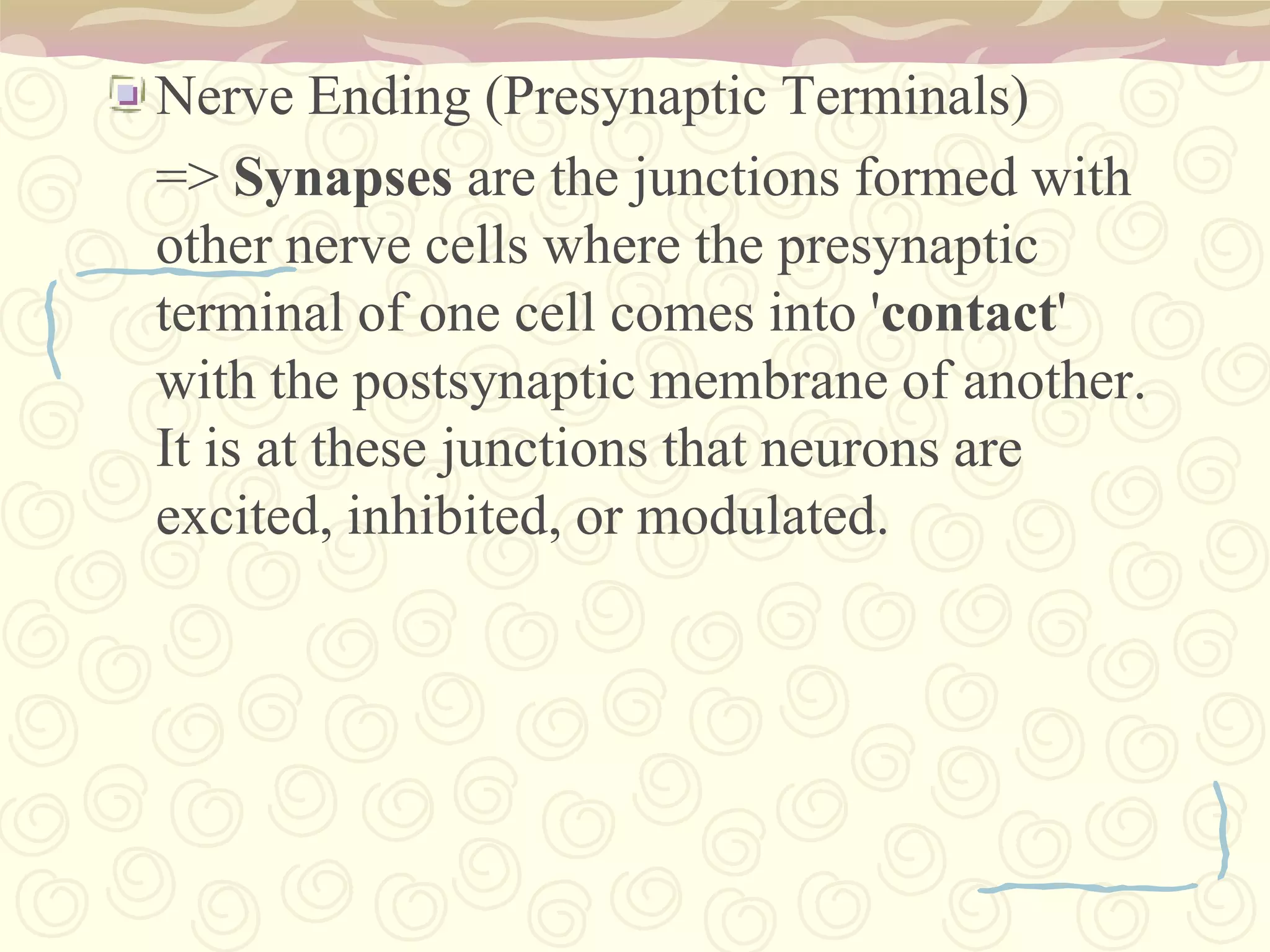 X.  VAGUSFunction :The vagus nerve plays an important role in the human body. It controls the sensory and motor functions of the heart and glands. It also participates in the process of digestion.