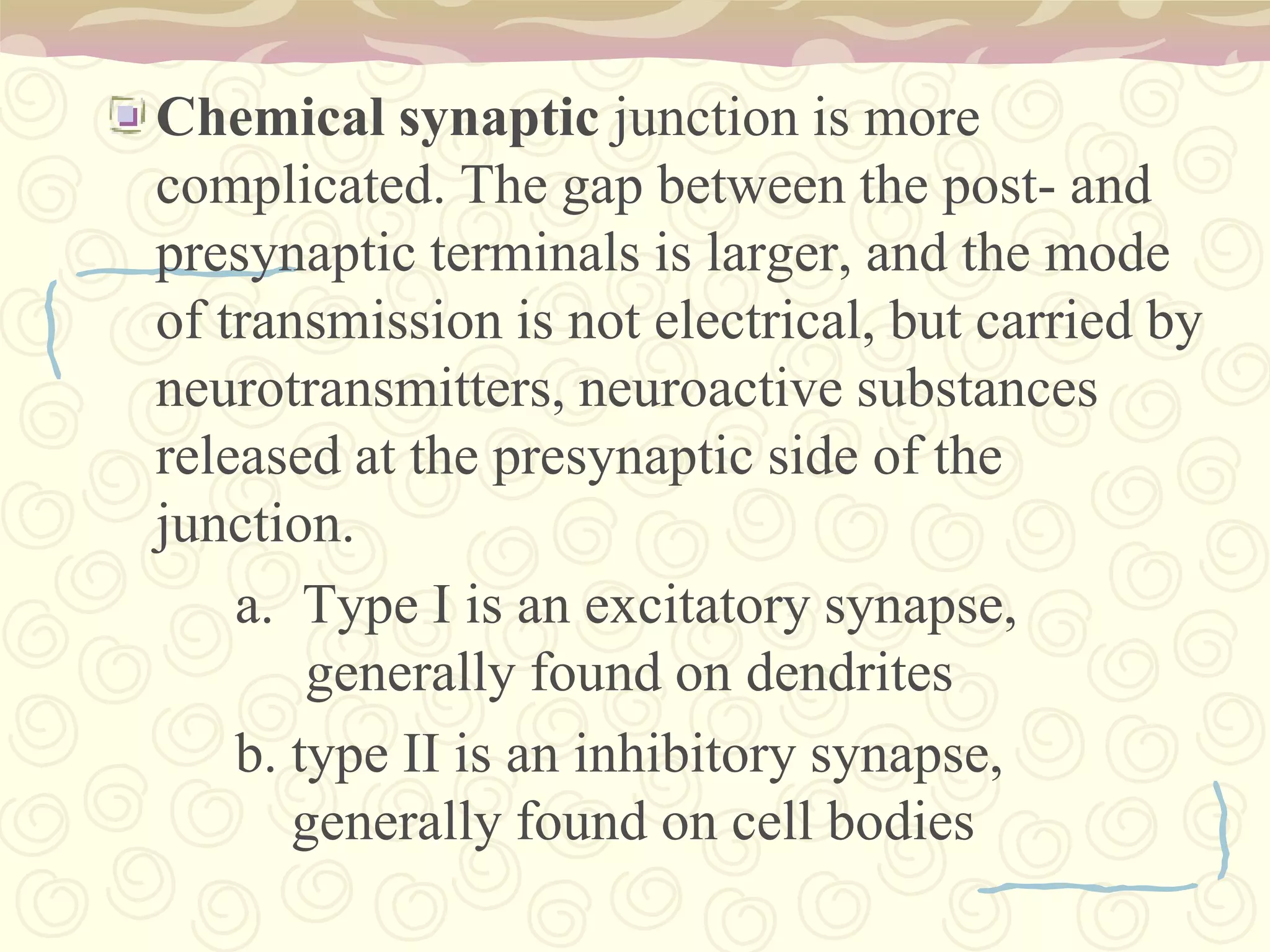 XII. HYPOGLOSSALProvides motor innervation to the muscles of the tongueImportant for swallowing (bolus formation) and speech articulation. Located in hypoglossal canal.