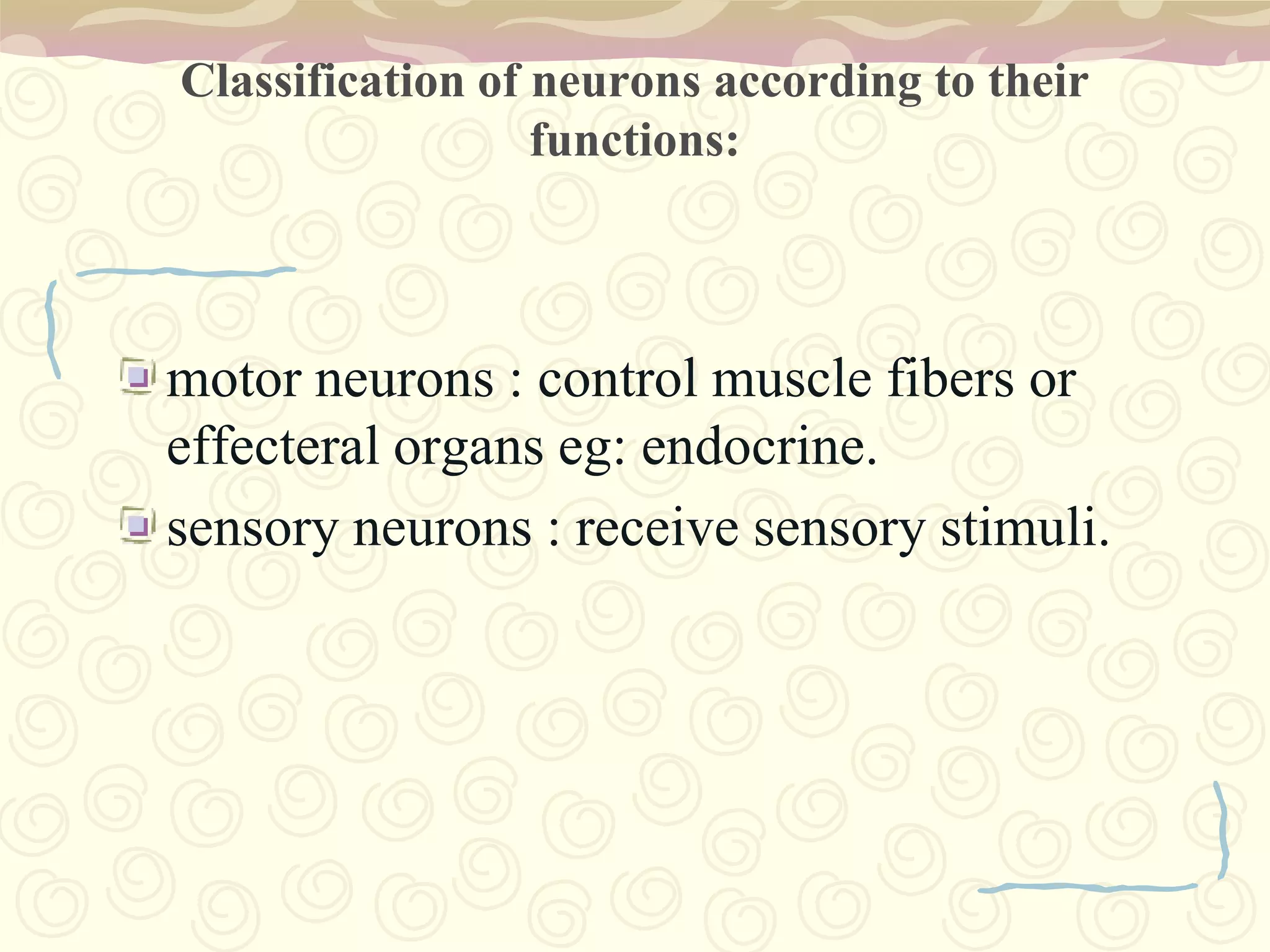 Cervical nerves (innervate the neck and the arms): cords conducting nerve impulses from the neck and arms to the cerebellum via the spinal cord.Intercostal nerve: cord conducting nerve impulses between the ribs.Lumbar and sacral nerves (innervate the legs and pelvic organs): nerves originating in the lower back and extending into the pelvis and legs.Sacral plexus: network of nerves of the sacrum.
