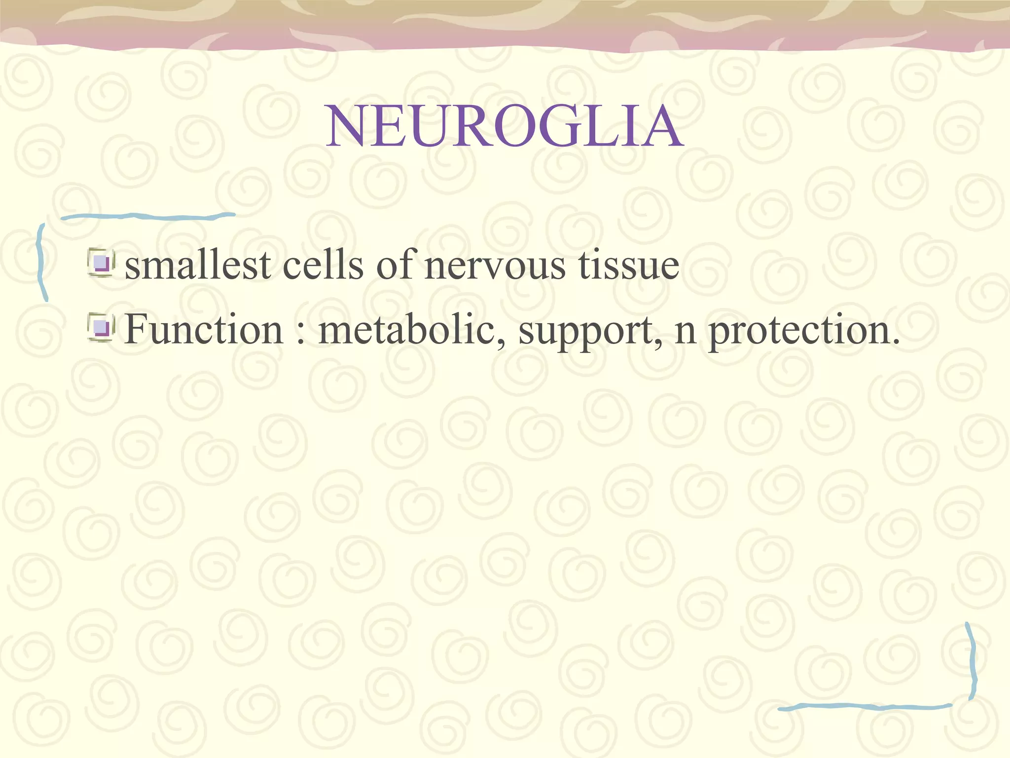 The formation of the spinal nerve from the dorsal and ventral roots