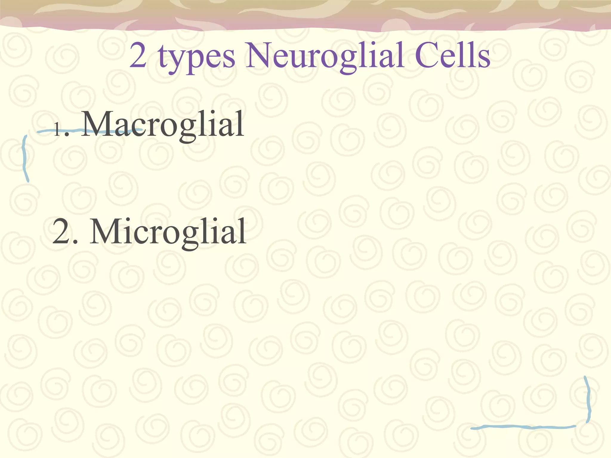  dorsal roots carry afferent sensory axons, while the ventral roots carry efferent motor axons.