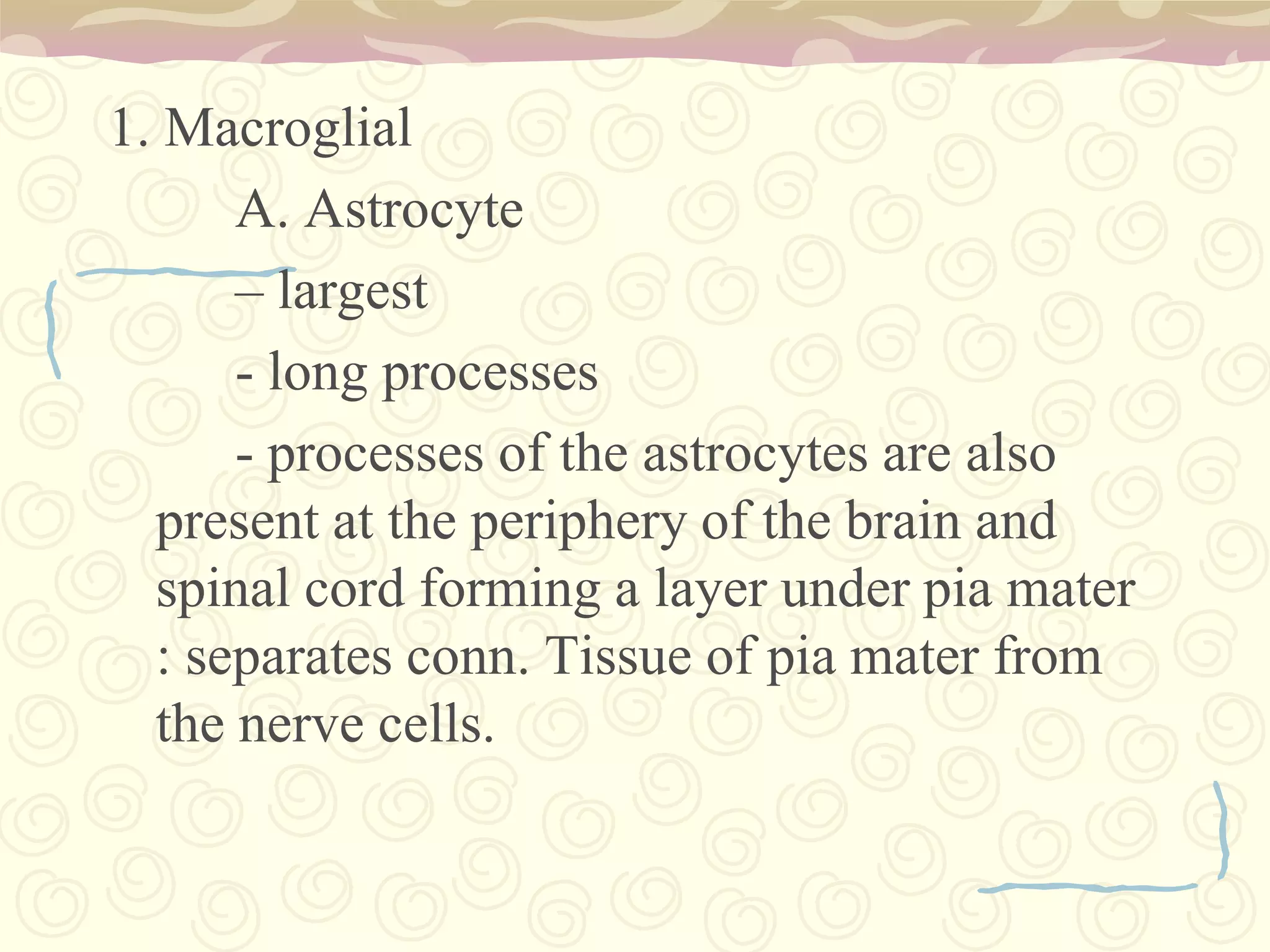 Neuronalso known as neurone or nerve cellbasic unit of nervous systemIs an electircally excitable cell that processes and transmits information by electrical and chemical signaling.there are billions neurons in the body. In fact, there are 12 - 14 billlions of neurons in one partof the brain alone. 