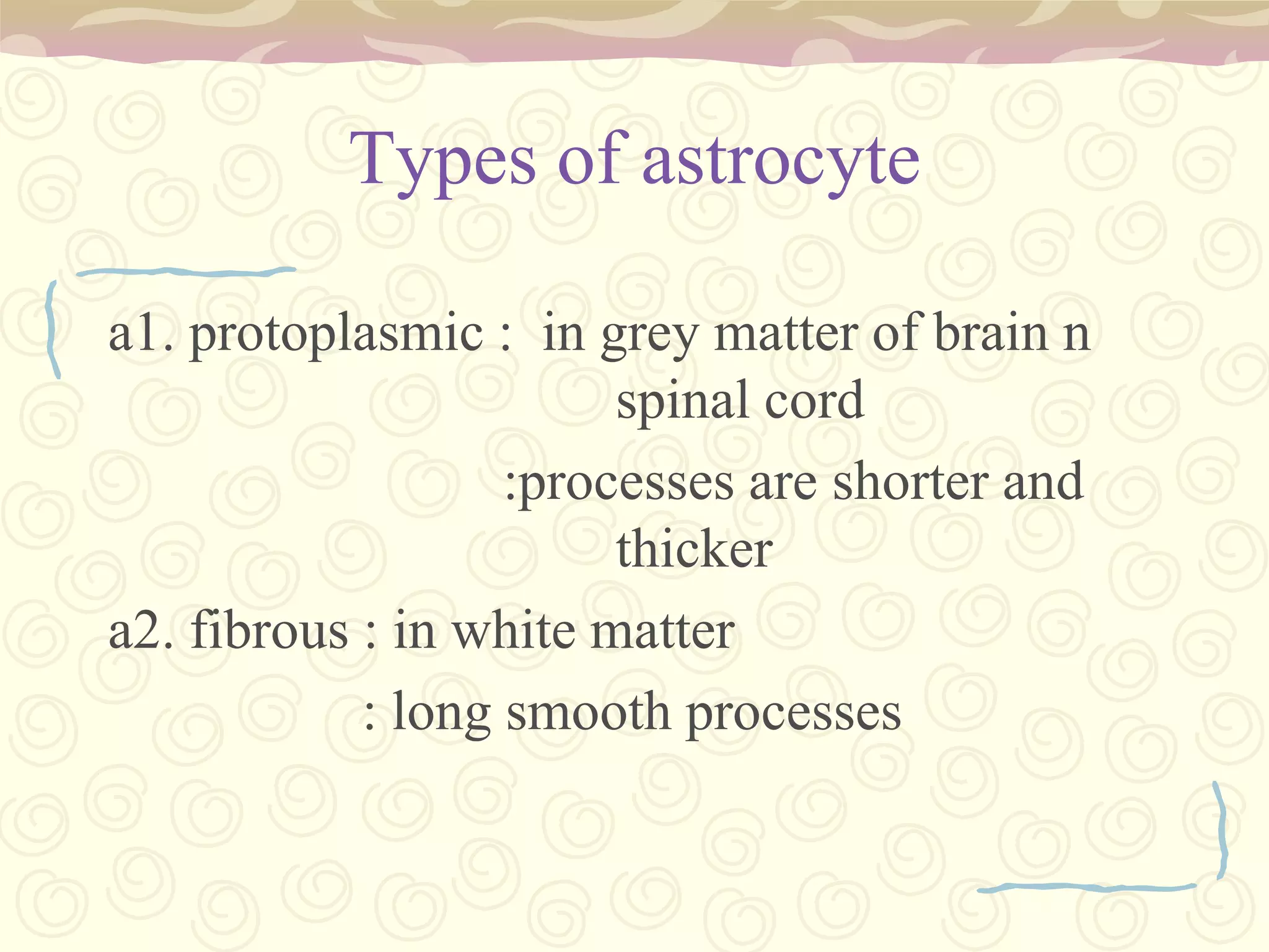 Basic nerve cell structure