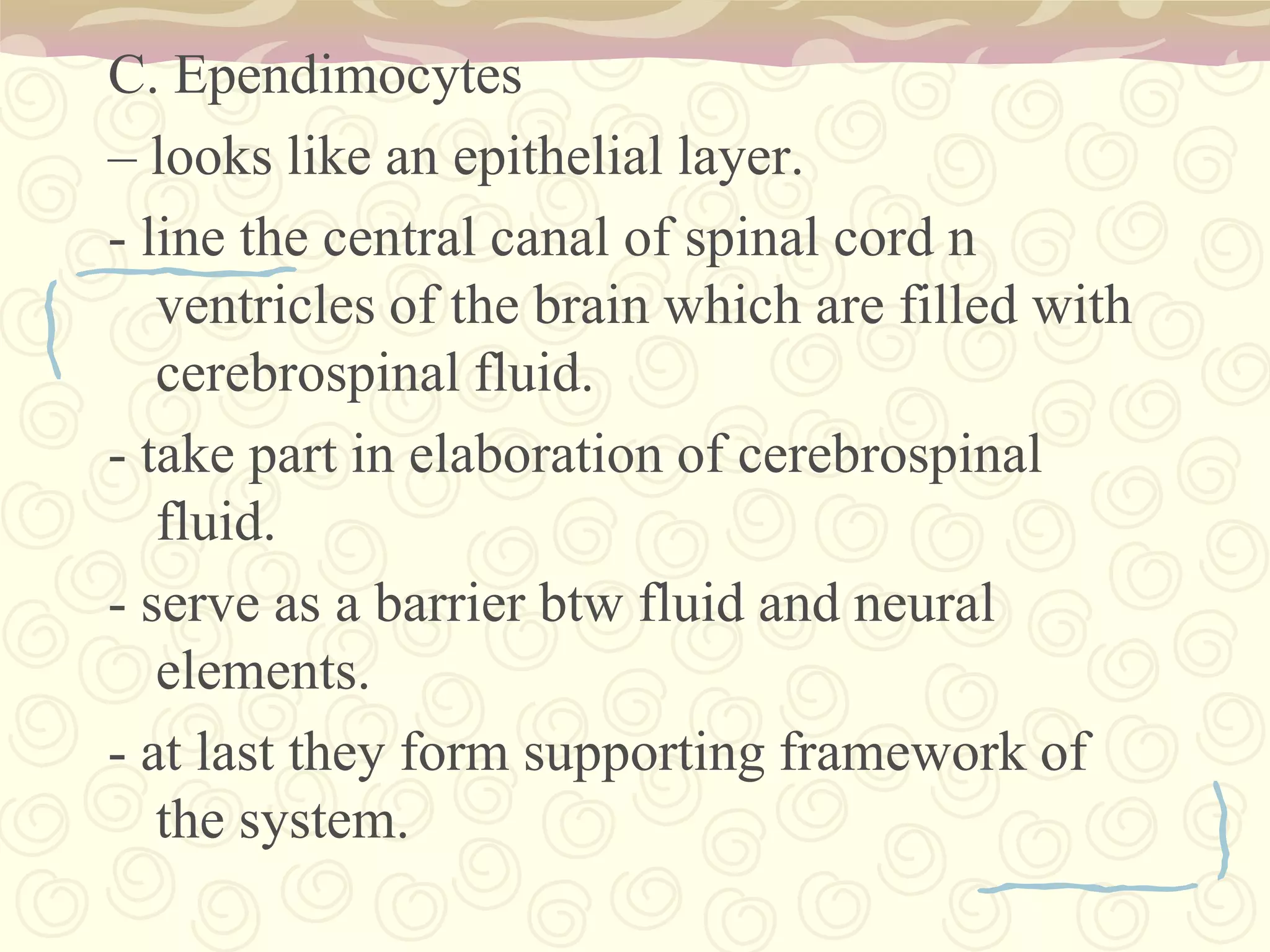 Axon=>  transmit impulses away from the cell body. 	=>The main conducting unit of the neuron. 	=>Conduct nerve impulses thru another cells. 	=>Capable of conveying electrical signals along distances that range from as short as 0.1 mm to as long as 2 m.