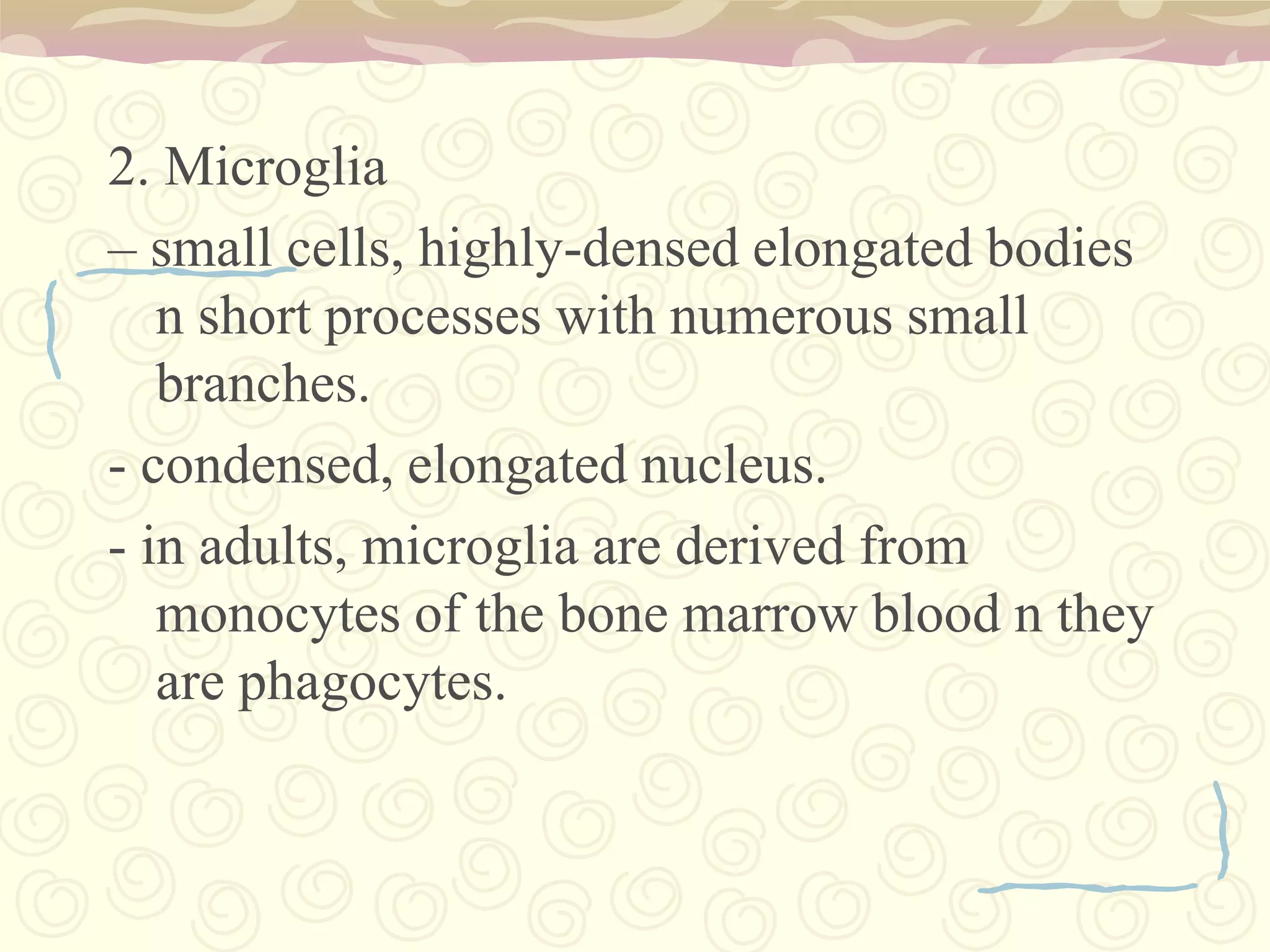 Dendritesthe main apparatus for receiving signals from other nerve cells. 