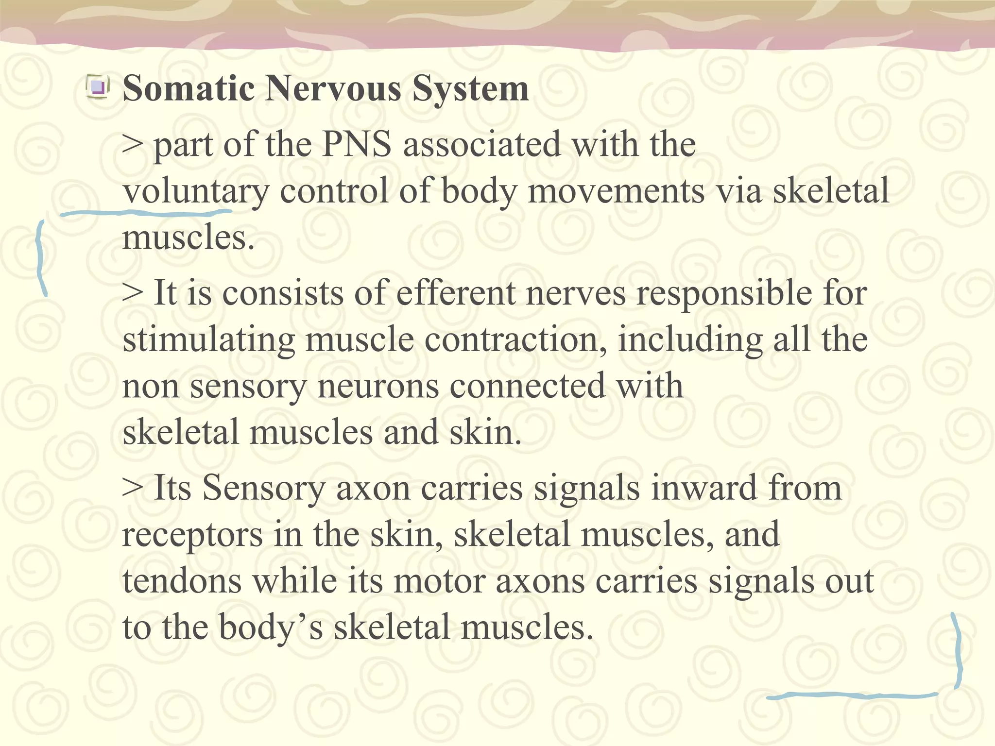 The “ antennae” of the neuron. 