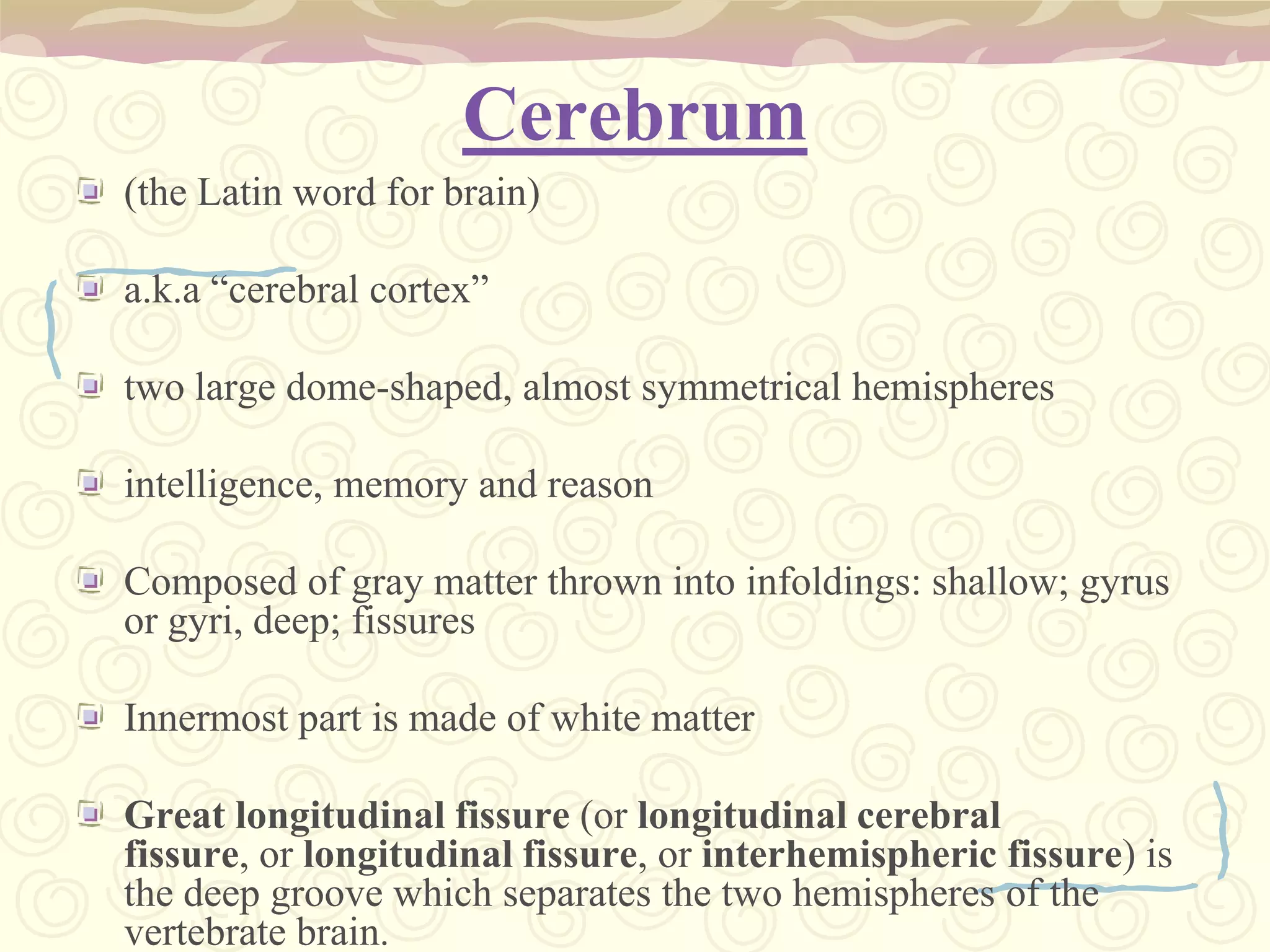 Cerebrum(the Latin word for brain)a.k.a “cerebral cortex” two large dome-shaped, almost symmetrical hemispheresintelligence, memory and reasonComposed of gray matter thrown into infoldings: shallow; gyrus or gyri, deep; fissuresInnermost part is made of white matterGreat longitudinal fissure (or longitudinal cerebral fissure, or longitudinal fissure, or interhemispheric fissure) is the deep groove which separates the two hemispheres of the vertebrate brain.