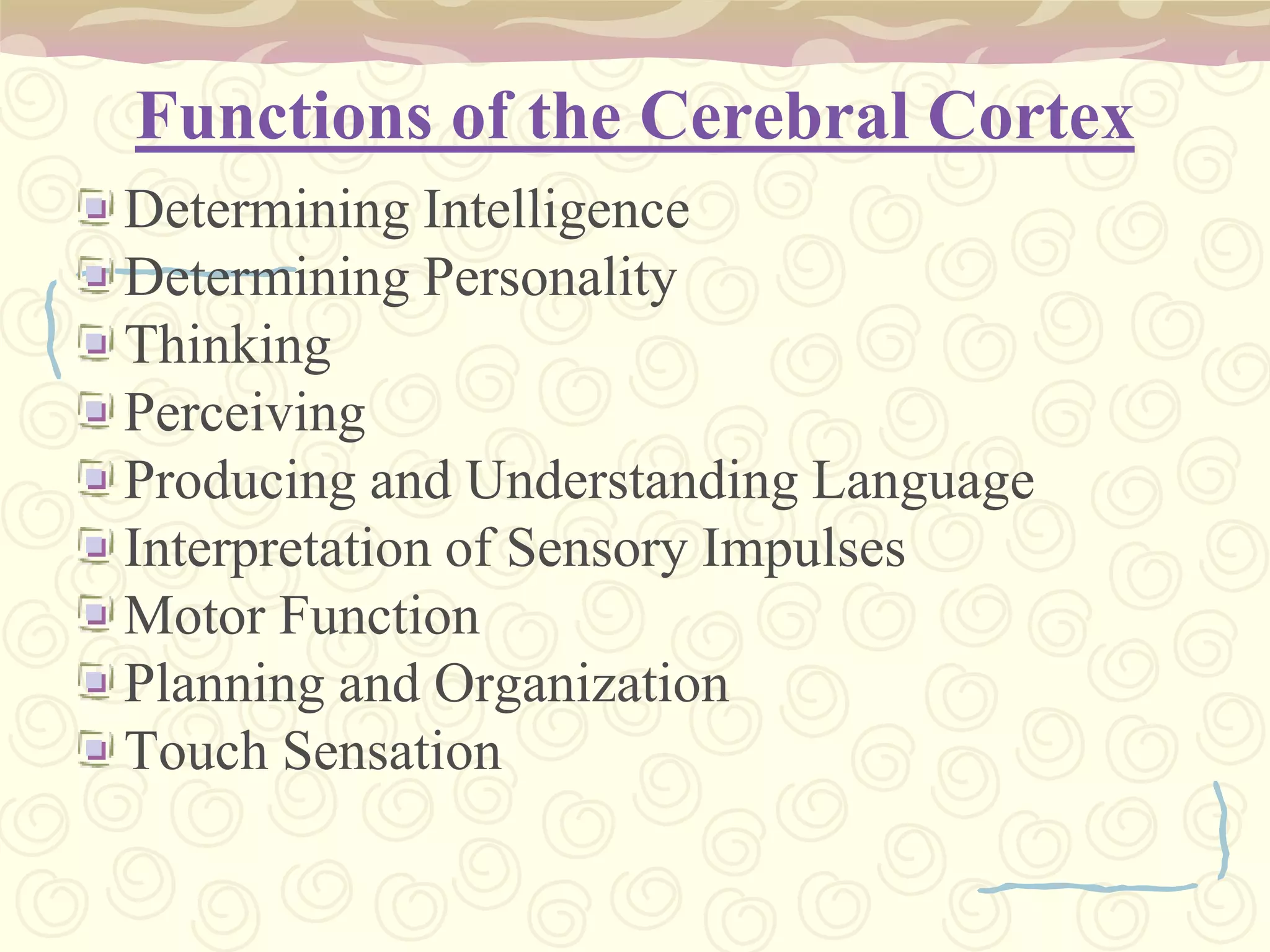 OCCIPITAL LOBE involved with vision and color recognition.