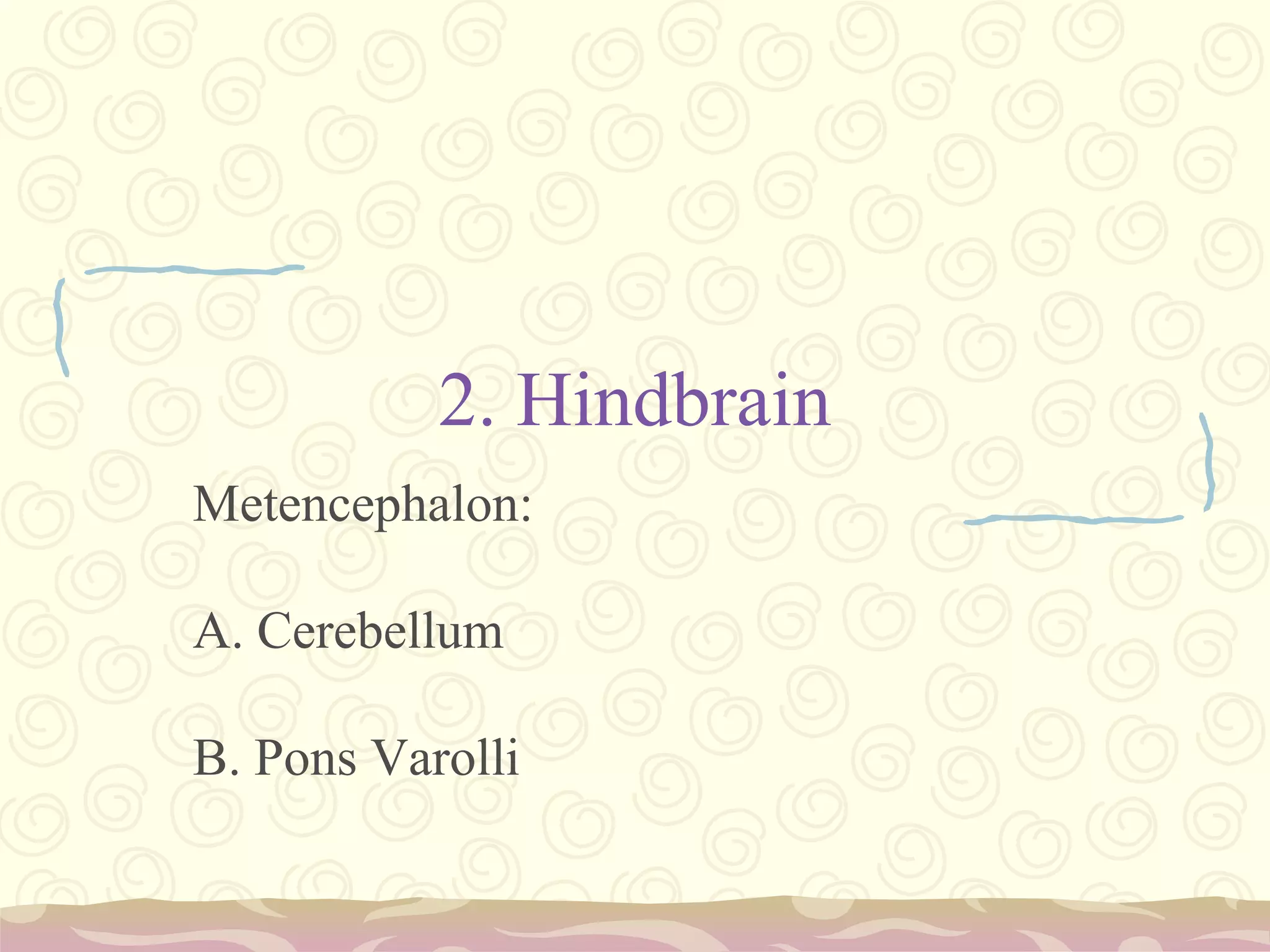 The different lobes of the cerebral cortex subdivide processing responsibilities based on sensory input or motor function.Visual