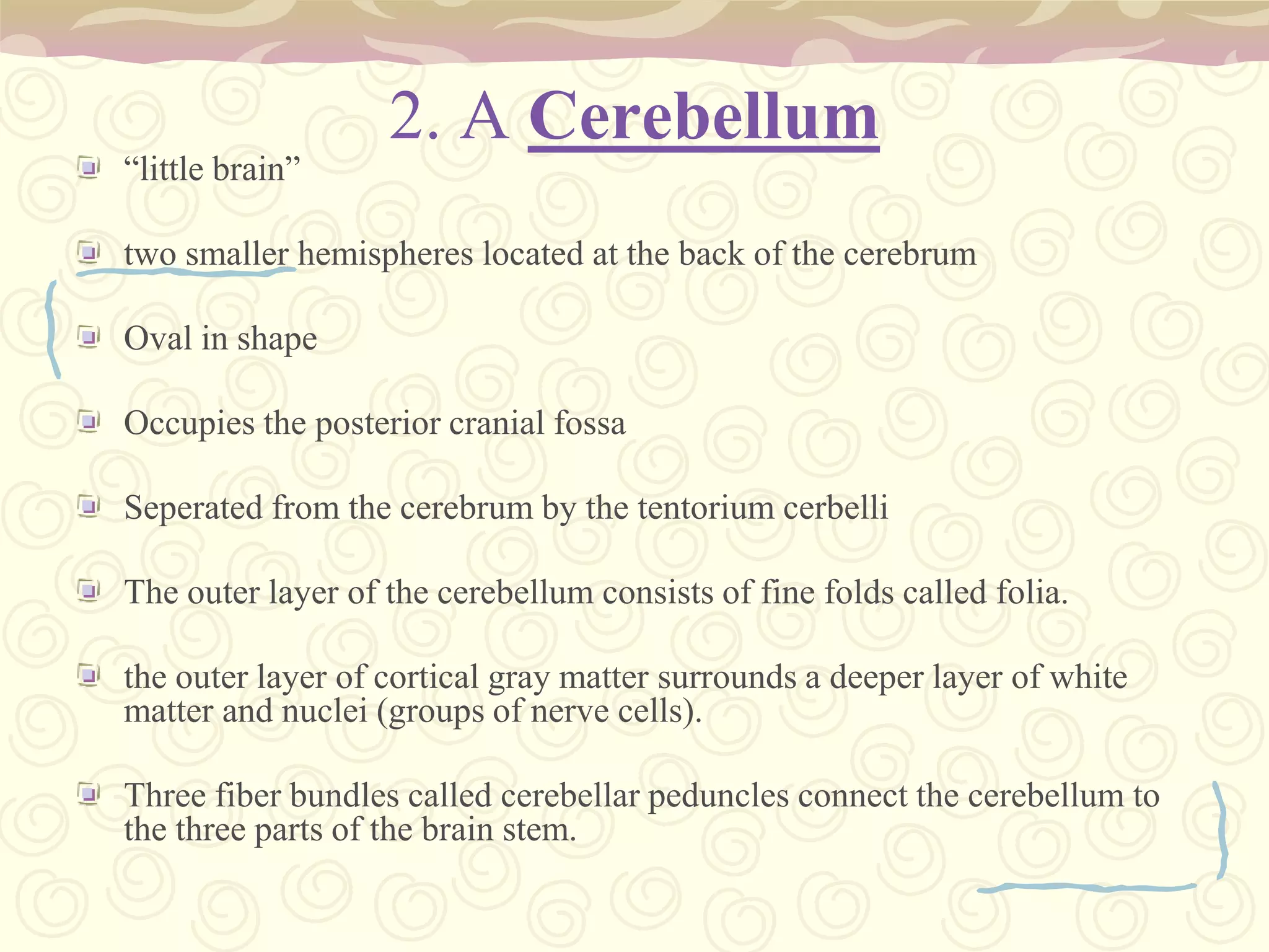 Amygdala It is a limbic system: Emotions