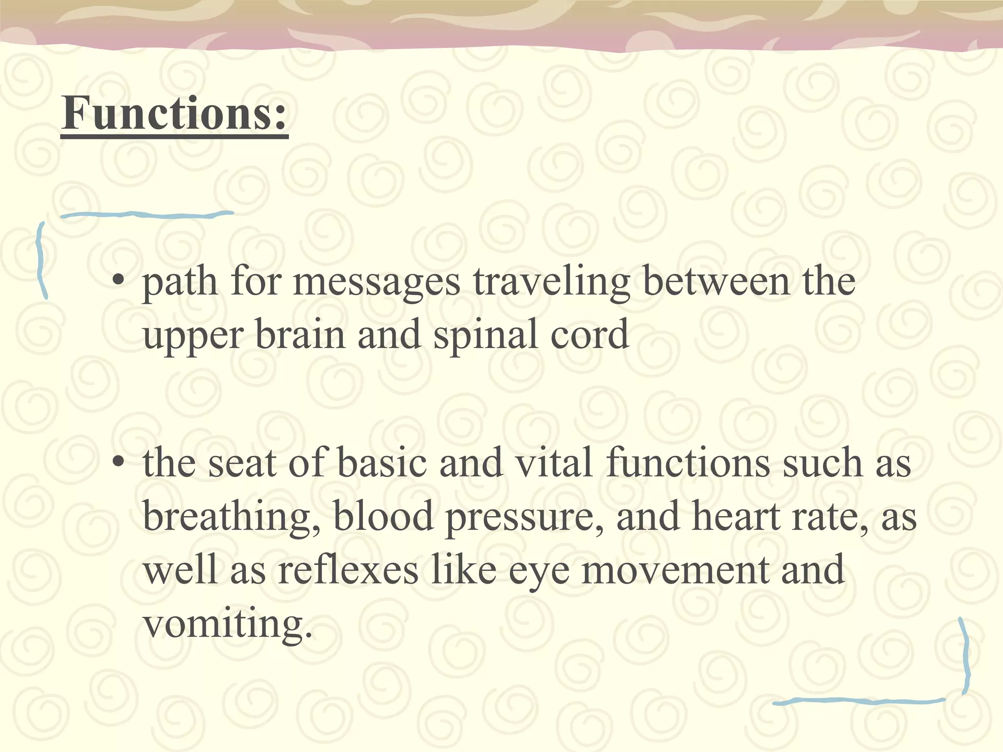 Memory HippocampusMemory forming, organizing, and storing. 