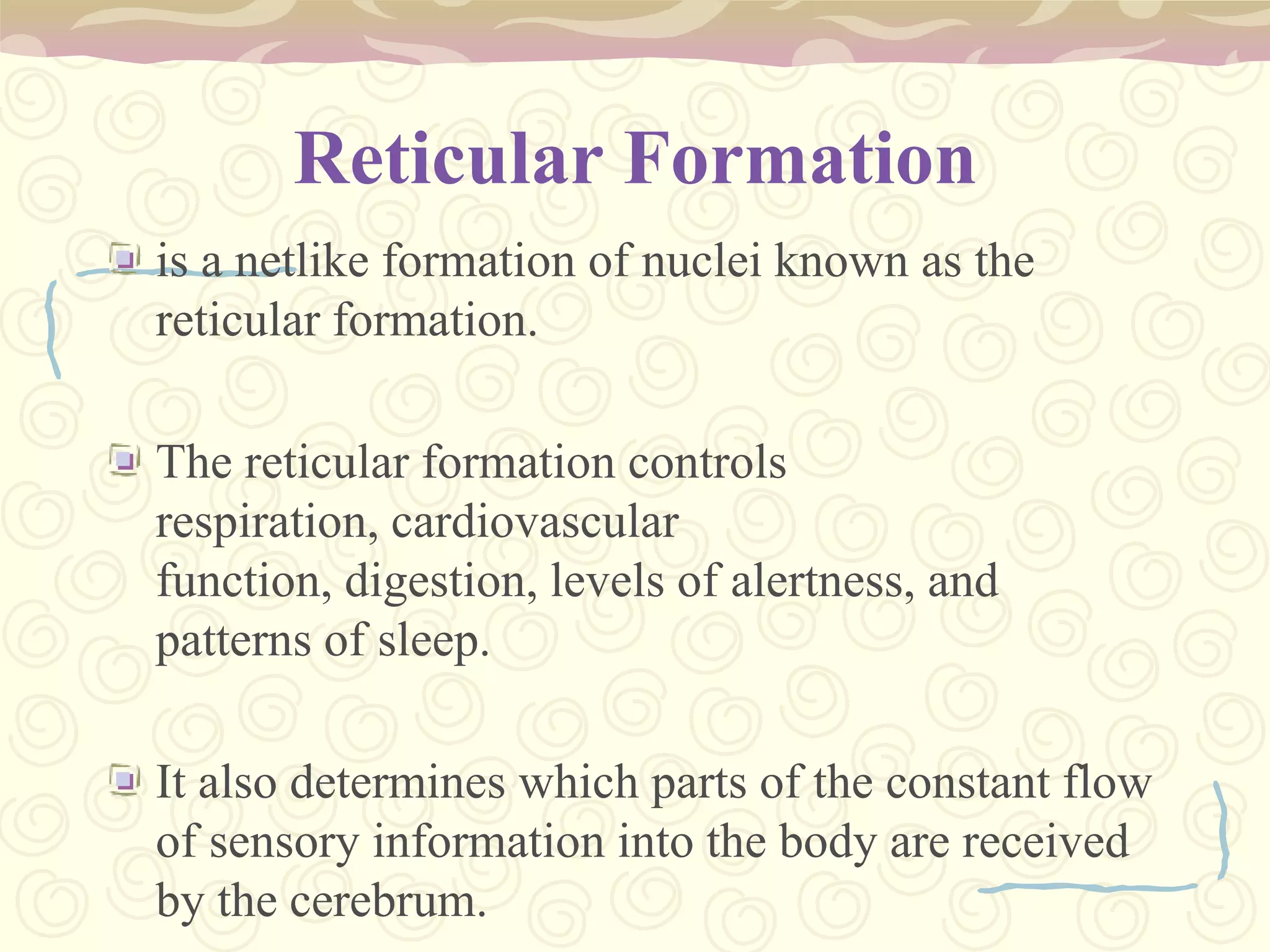 Connecting emotions and senses, such as smell and sound, to memories.2. HindbrainMetencephalon: A. CerebellumB. Pons Varolli