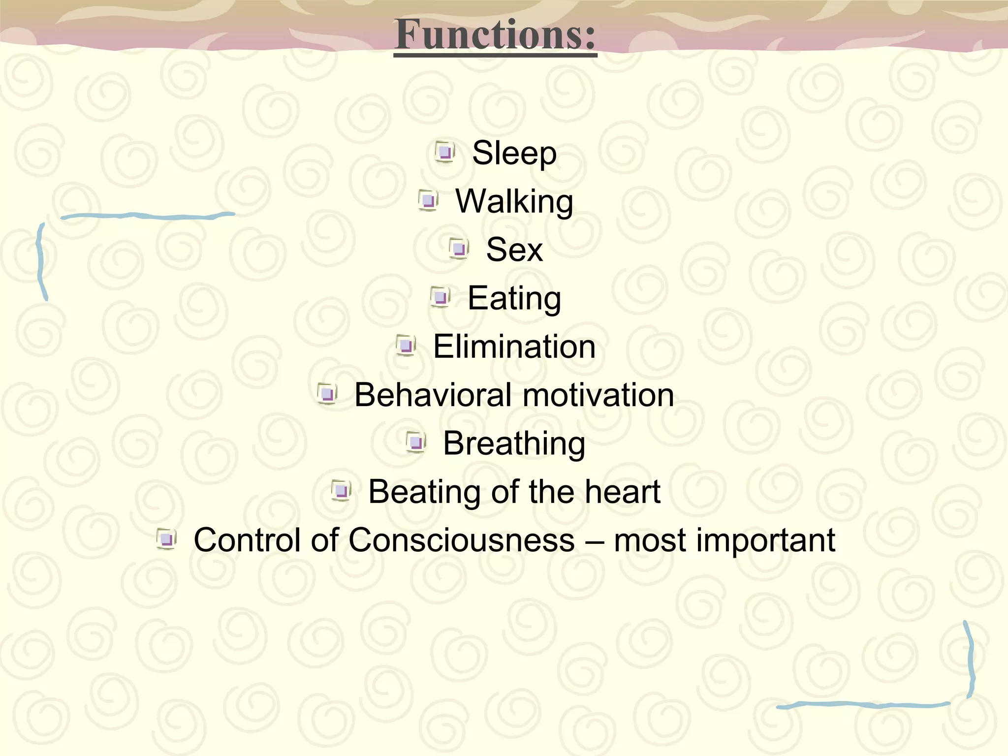 Anterior Lobe – posturePosterior Lobe – coordination of movementFlocculonodular Lobe – equilibrium 