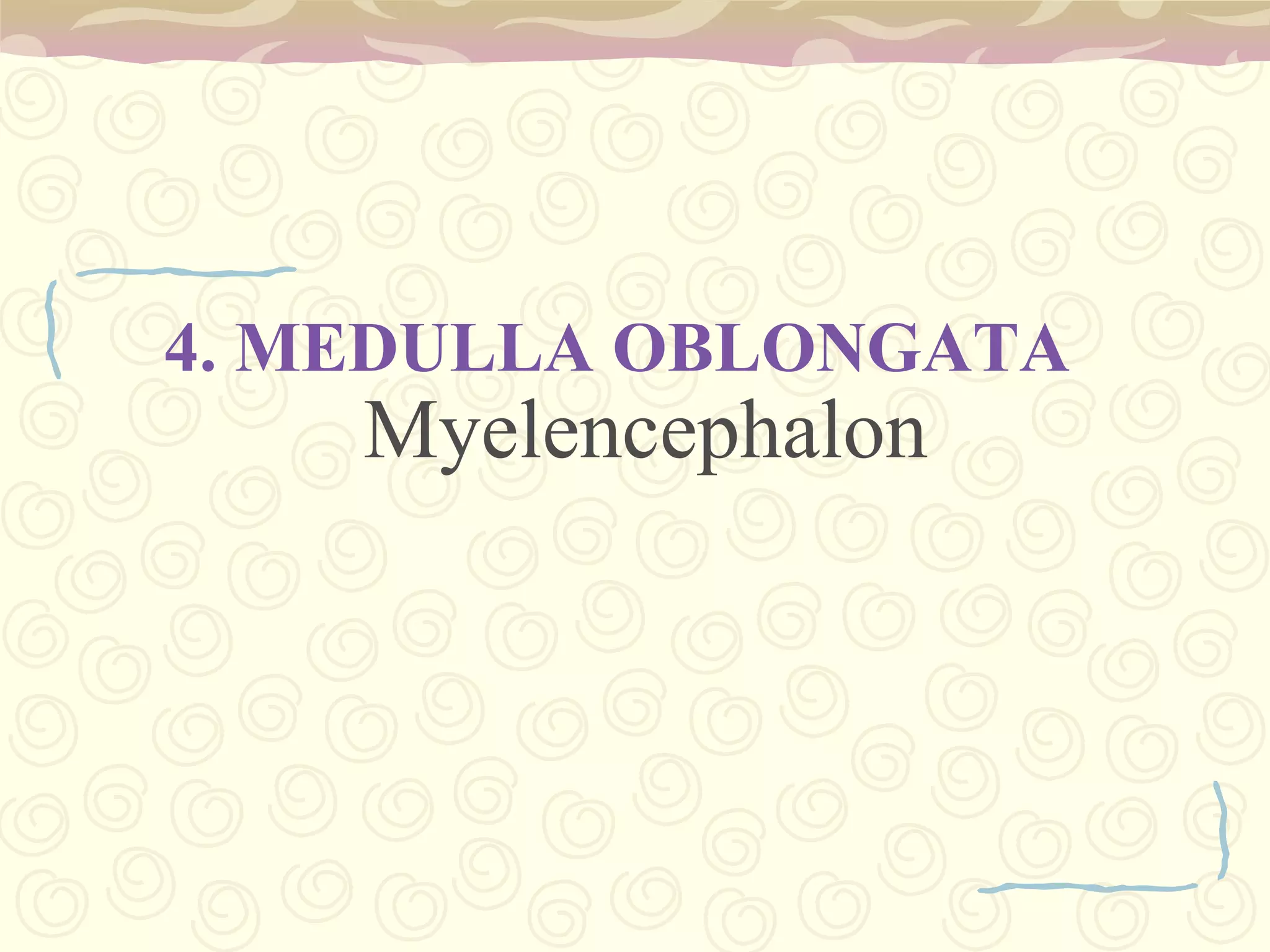 serves as a communications and coordination center between the two hemispheres of the brain