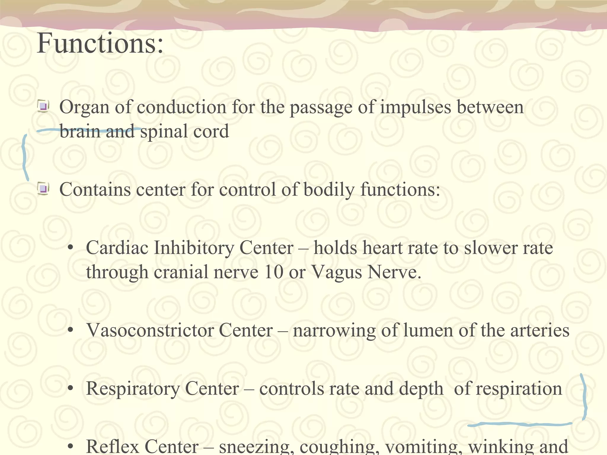 Functions:At the bottom of the midbrain are reflex and relay centers relating to pain, temperature, and touch, as well as several regions associated with the, such as the red nucleus and thesubstantia nigra - for reward, addiction, and movement