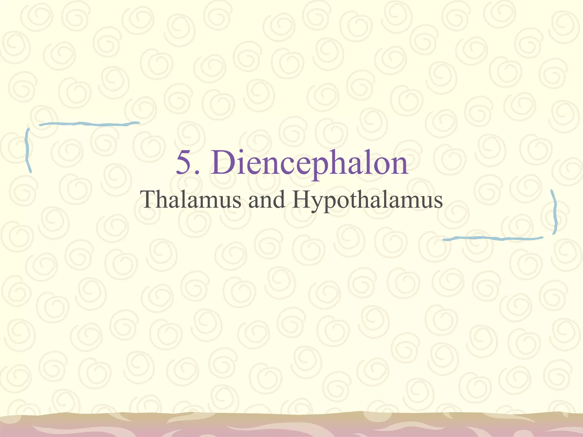 A pair of nuclei called the superior colliculusControls reflex actions of the eye, such as blinking, opening and closing the pupil, and focusing the lens. 