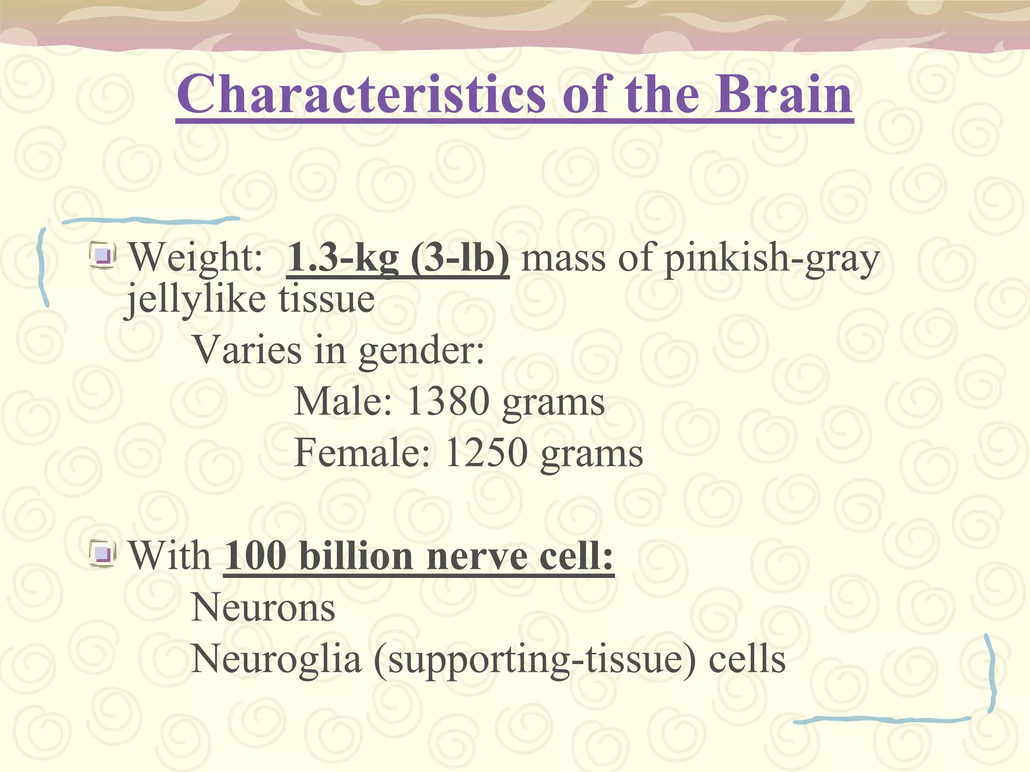 Characteristics of the BrainWeight:  1.3-kg (3-lb) mass of pinkish-gray jellylike tissue 		Varies in gender:			Male: 1380 grams			Female: 1250 gramsWith 100 billion nerve cell:		NeuronsNeuroglia (supporting-tissue) cells