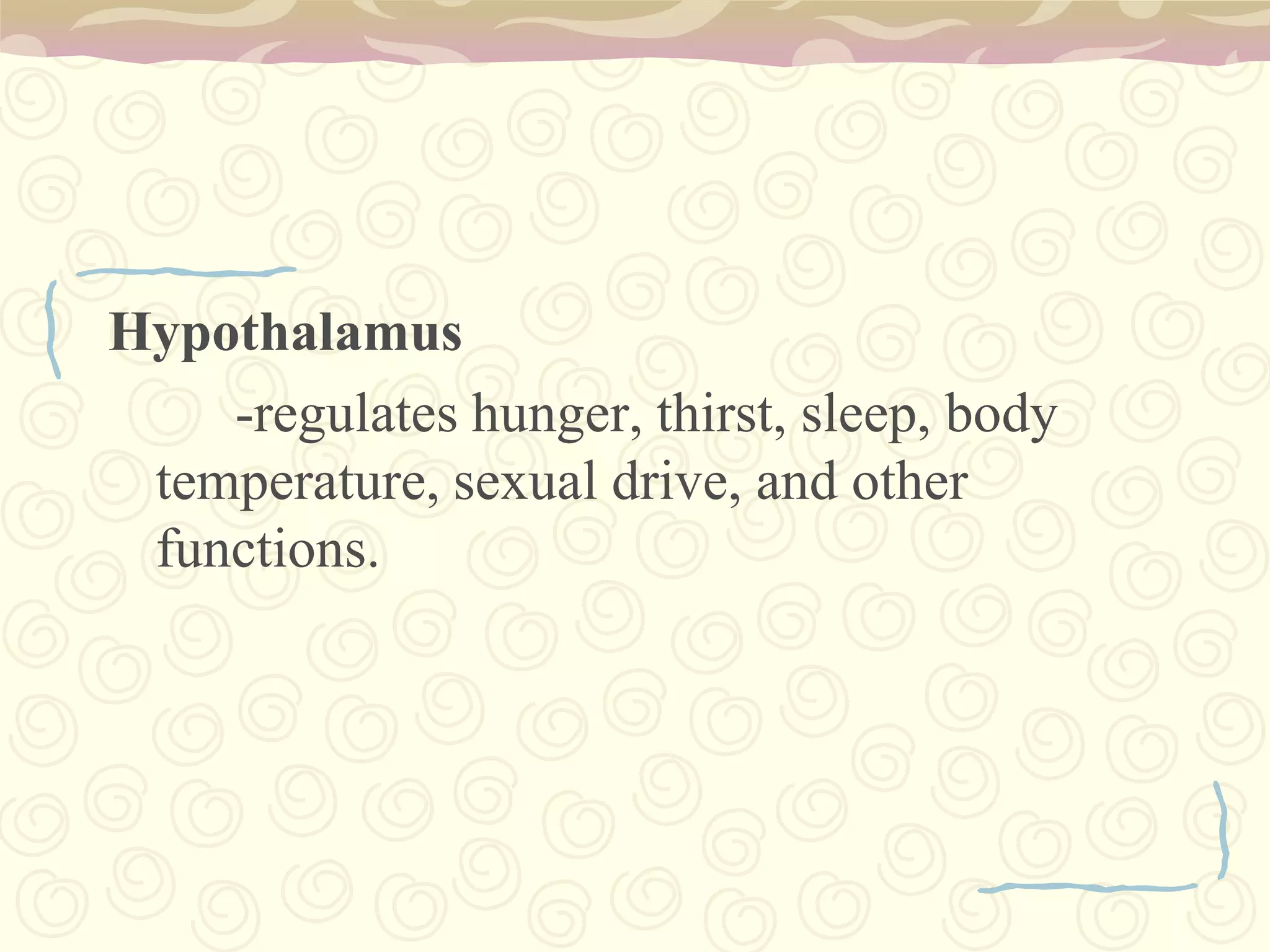 Corpora quadrigeminaCerebral aqueductCentral gray stratumRed nucleus of tegmentumSubstantia nigraInterpeduncular space