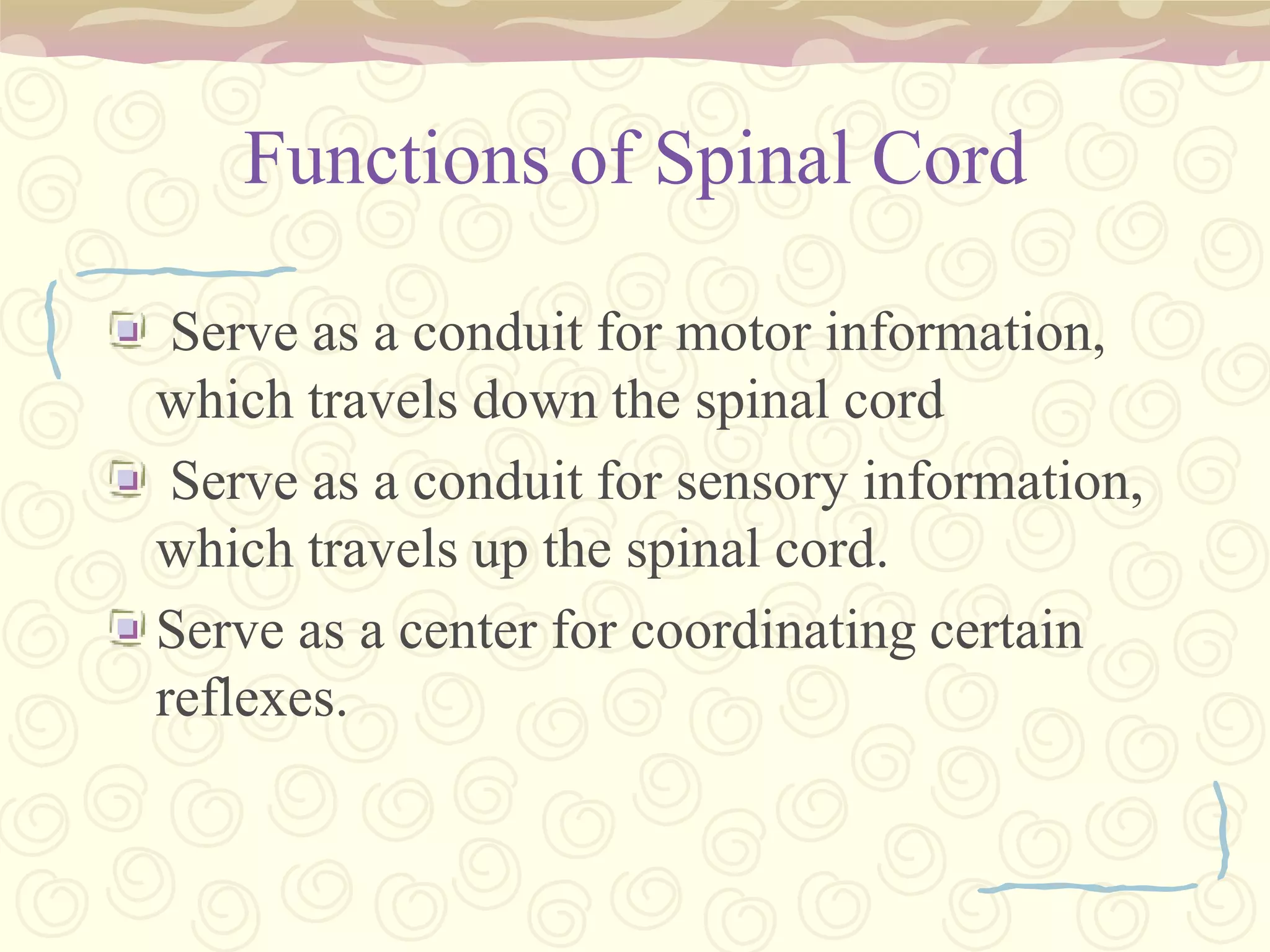 Medulla oblongatais a portion of the hindbrain that controls autonomic functions: breathing,