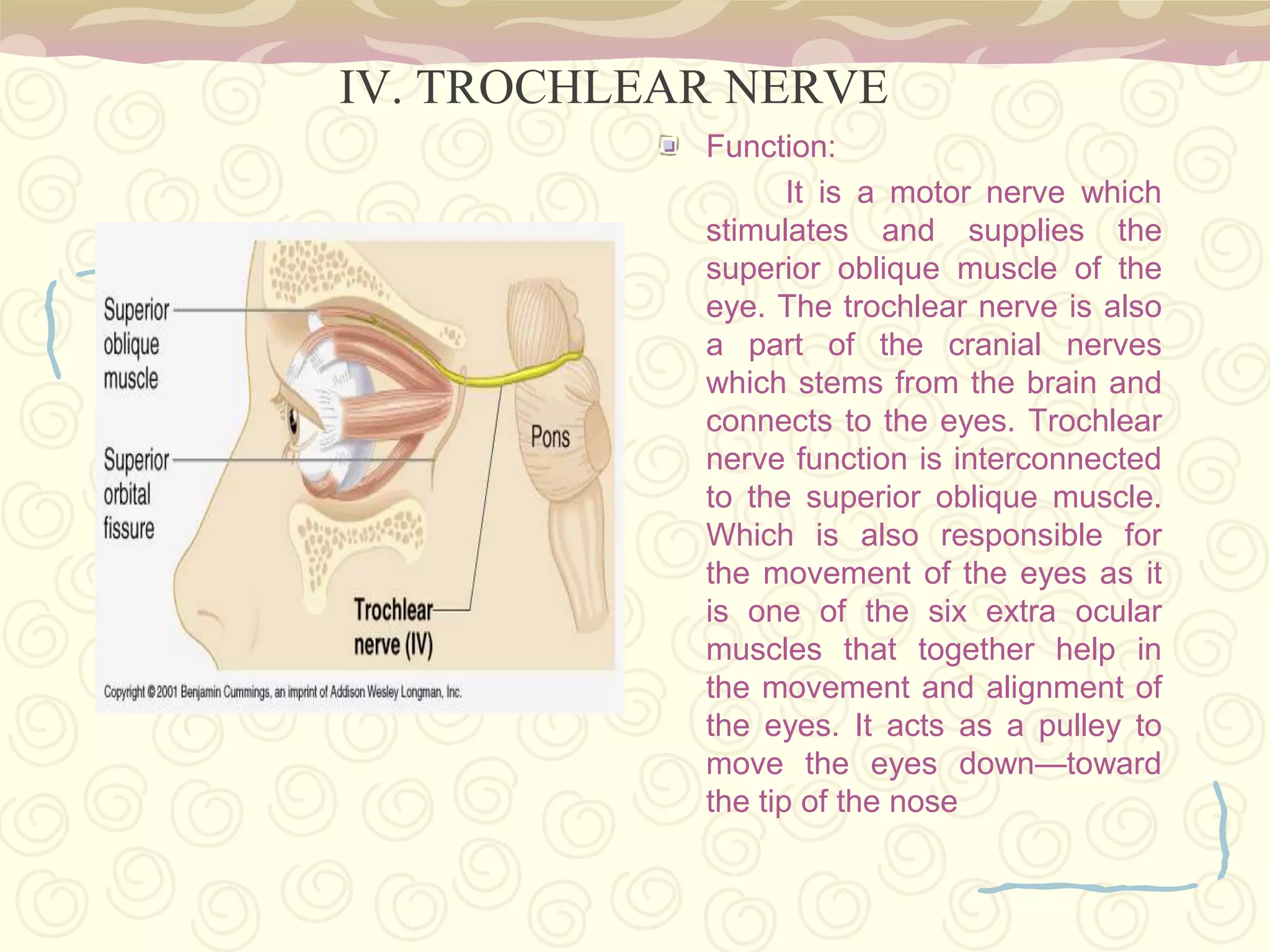 is a limbic systemstructure 