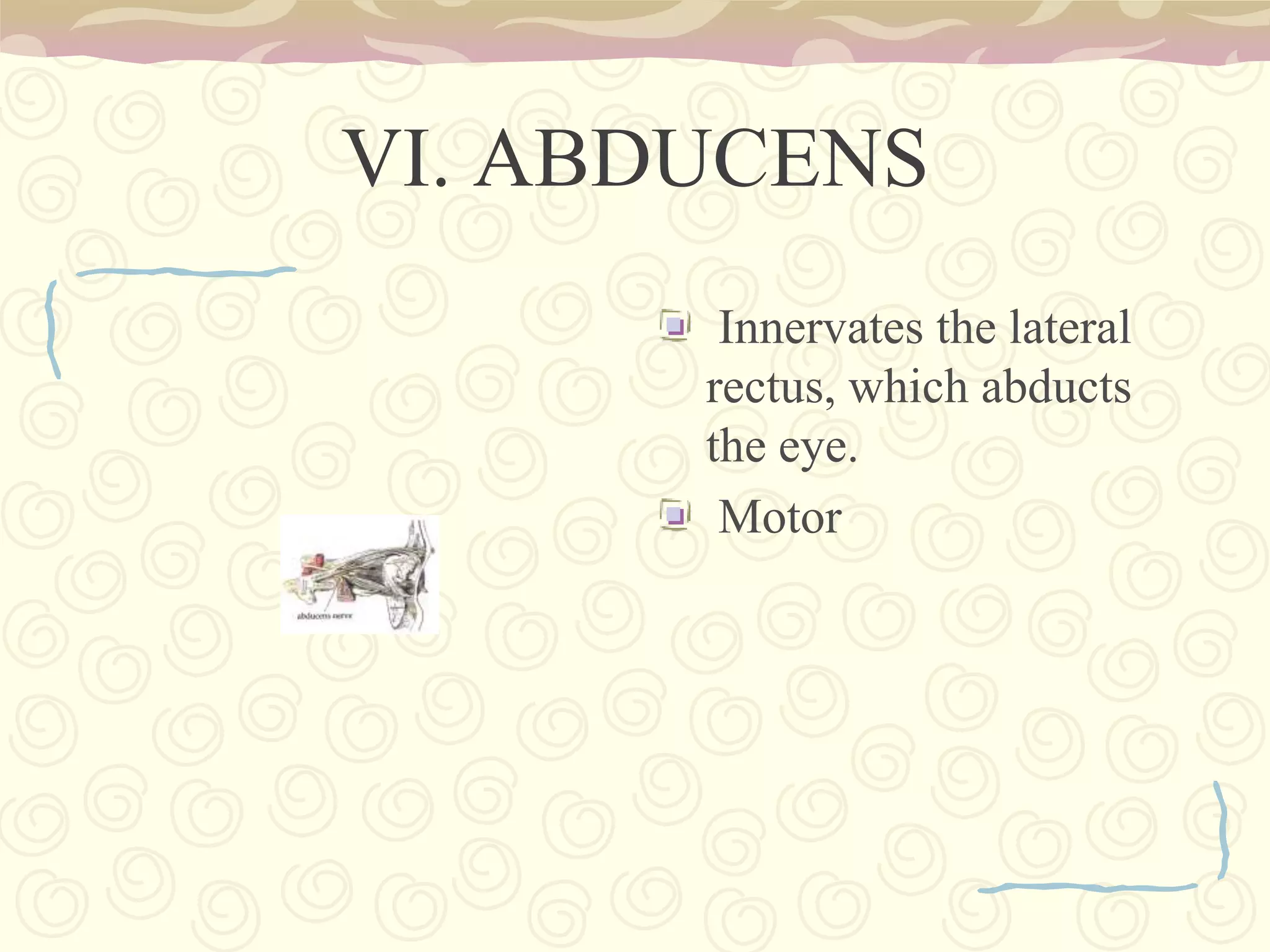  controls sleep and awake states of consciousness.Limbic SystemThe limbic system is a group of brain structures that plays a role in emotion,memory, and motivation.